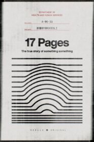 17 Pages