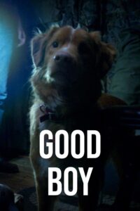 Good Boy