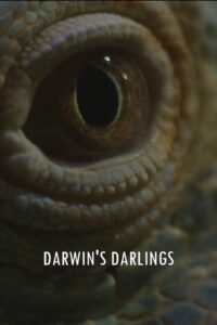 Darwin’s Darlings