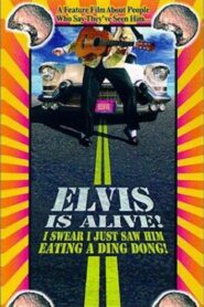 Elvis Is Alive! I Swear I Saw Him Eating Ding Dongs Outside the Piggly Wiggly’s
